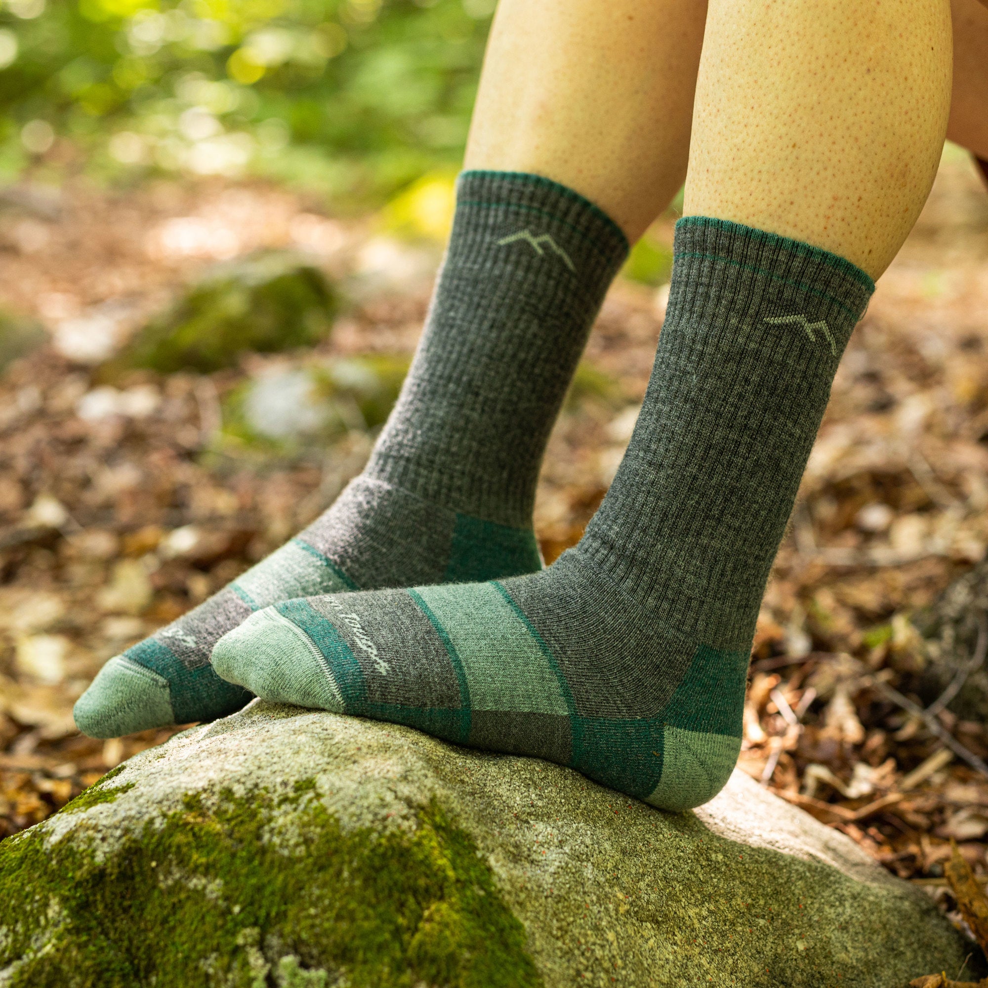On model image of the 1908 slate of feet on a rock in the woods