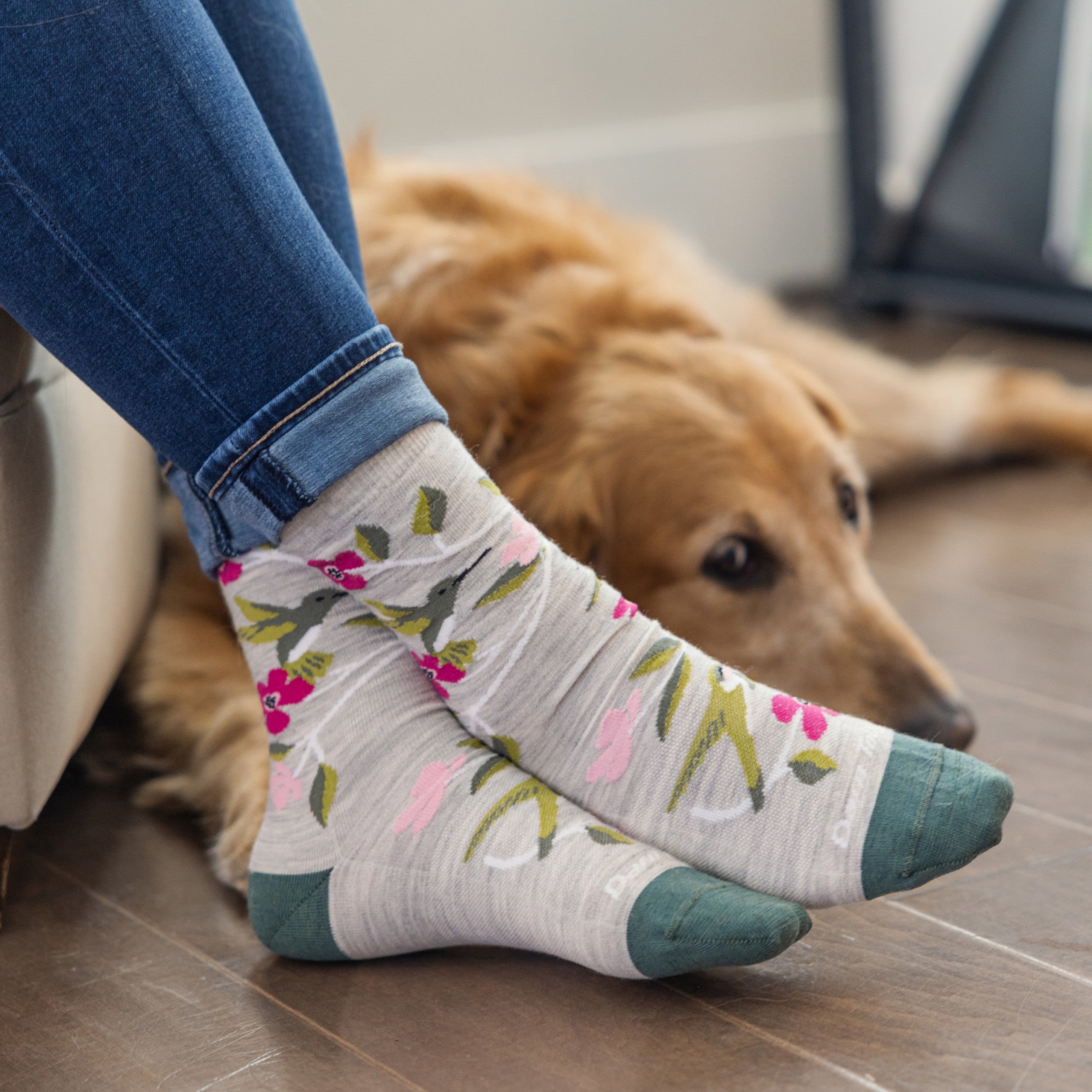 Models feet on wood floor next to a dog wearing the 6121 Birds of a feather crew Lifestyle sock in Ash