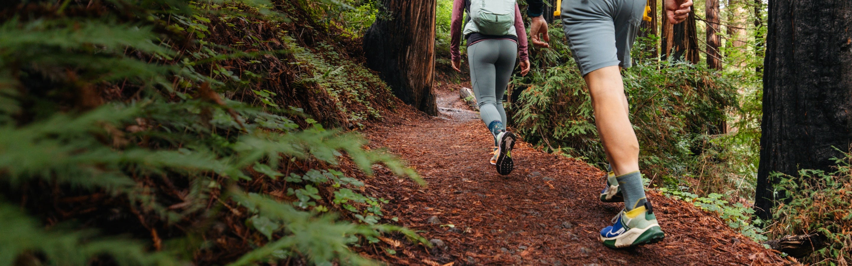 Two hikers walking up a trail wearing Darn Tough hiking socks
